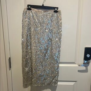 Zara Silver Sequin Skirt
